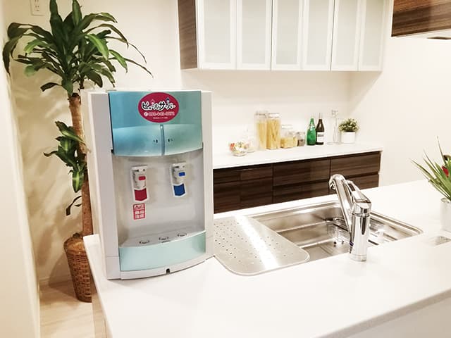 ピュールサーバー-1