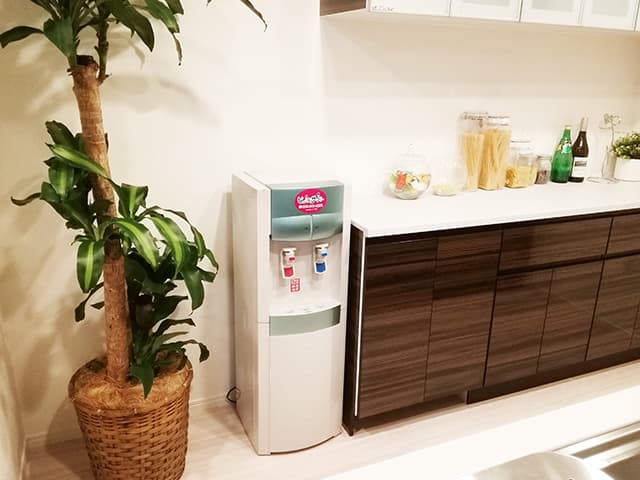 ピュールサーバー-2