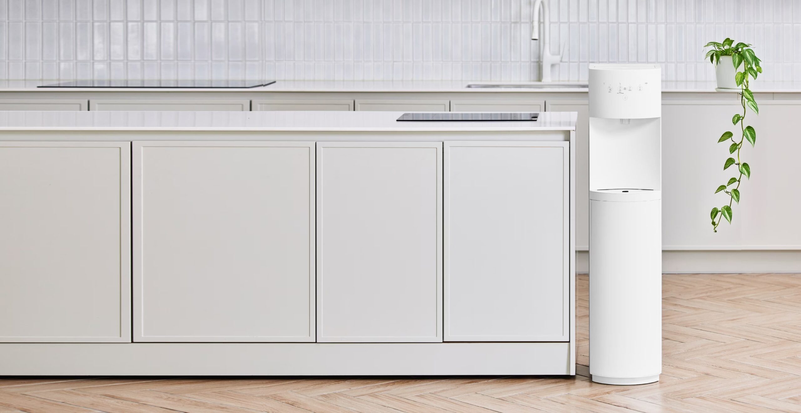 STILIS Noah（スタイリス ノア）-1